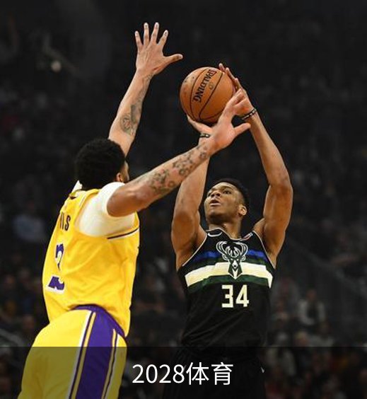 走进2028体育